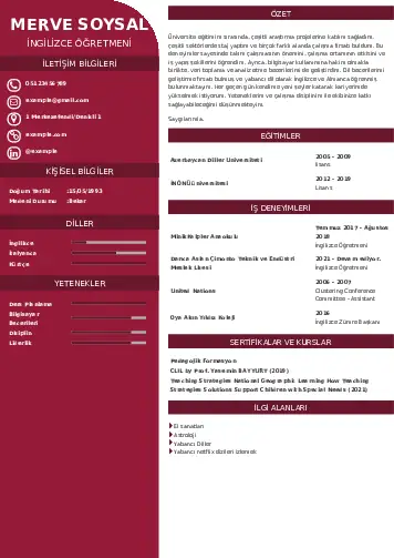 Yabancı Dil Öğretmeni Cv Örnekleri cv indir